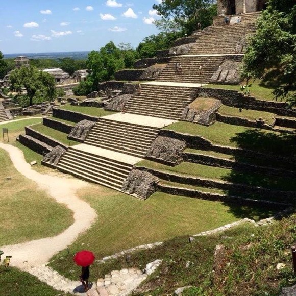 Meet your Posher, Elvia - Picture 1 of 1